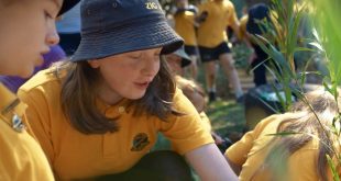 B&B Highway pollinator program